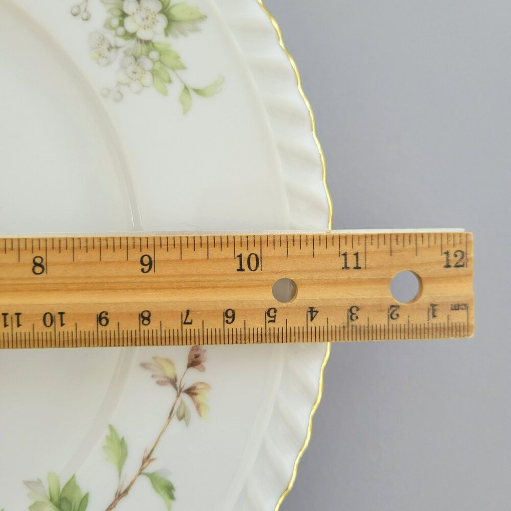 Vintage Franconia Hawthorn Dinner Plate, White Flowers & Leaves, Gadroon Border, - Picture 9 of 9